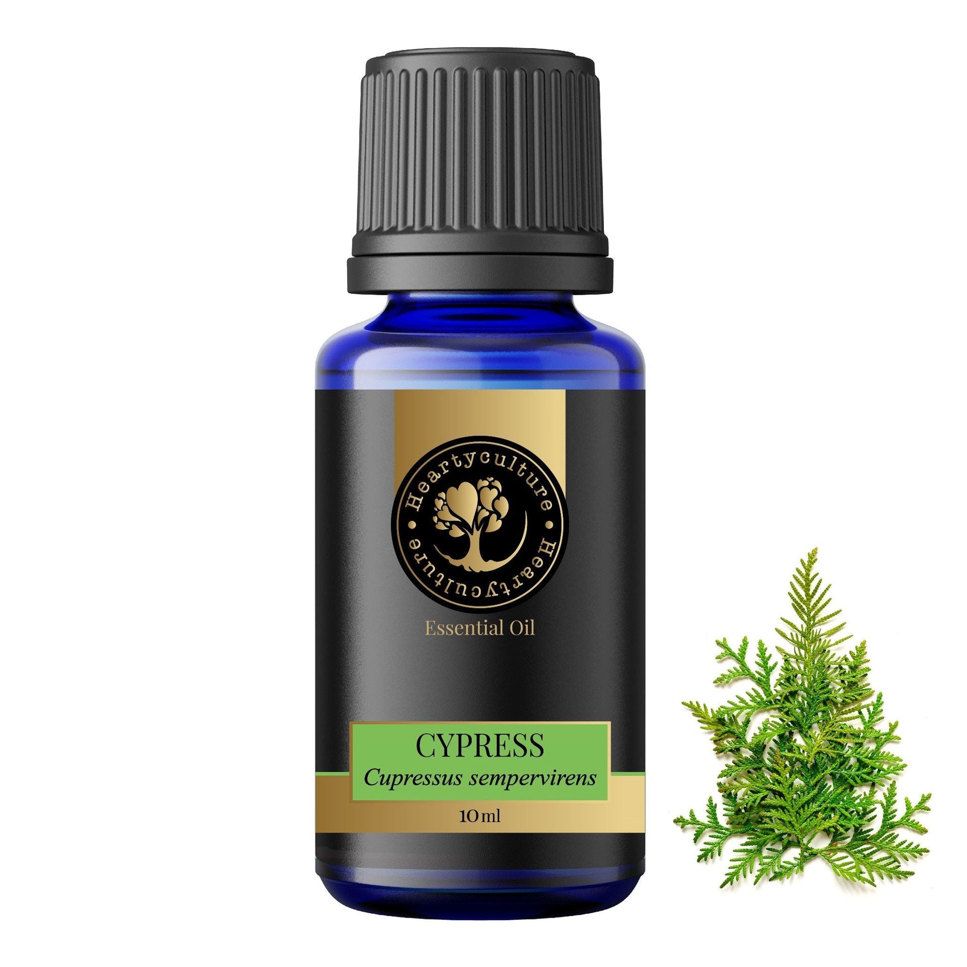 Heartyculture Cypress Essential Oil - 10 ml - hfnl!fe