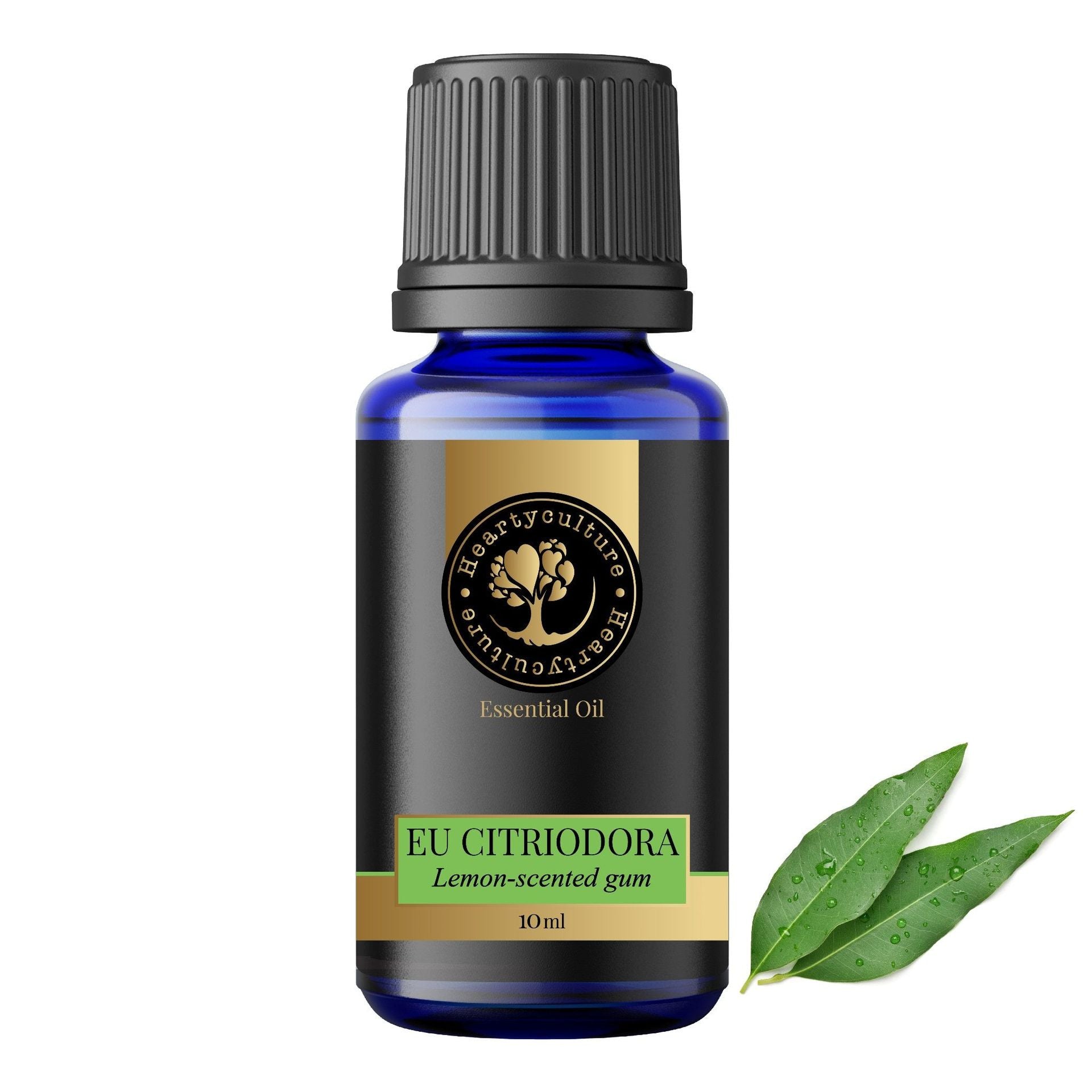 Heartyculture Eucalyptus Citriodora Essential Oil - 10 ml - hfnl!fe