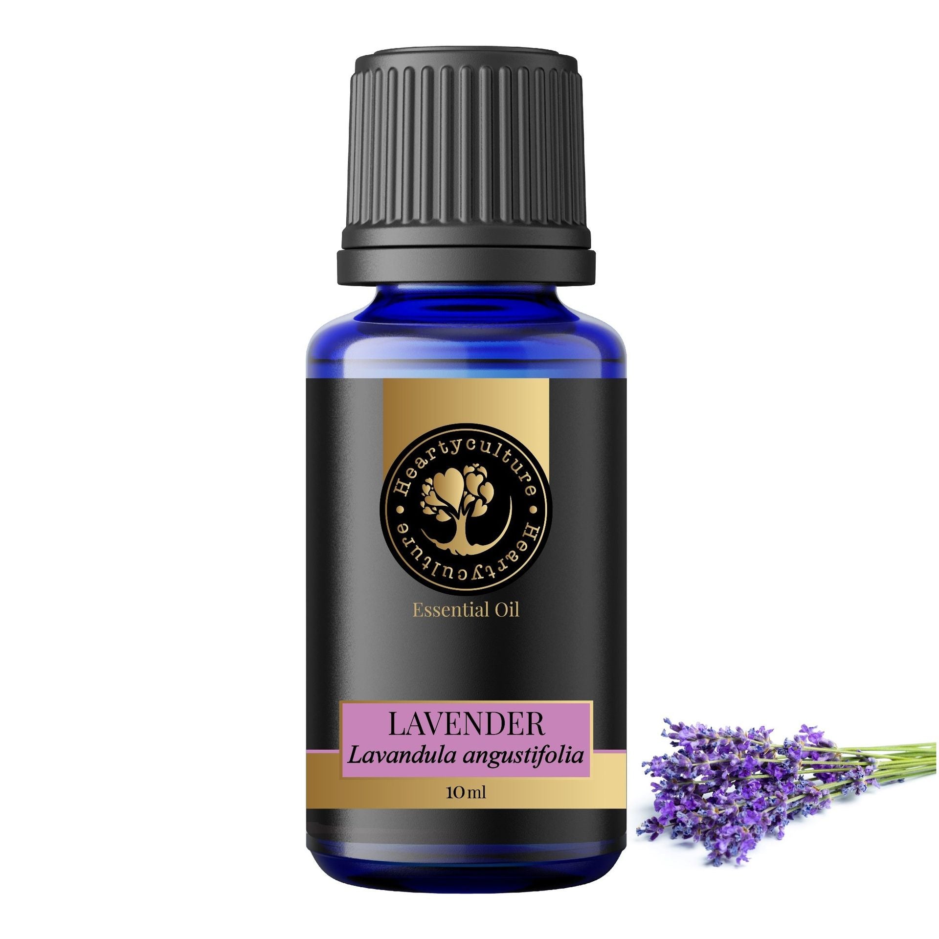 Heartyculture Lavender Essential Oil - 10 ml - hfnl!fe