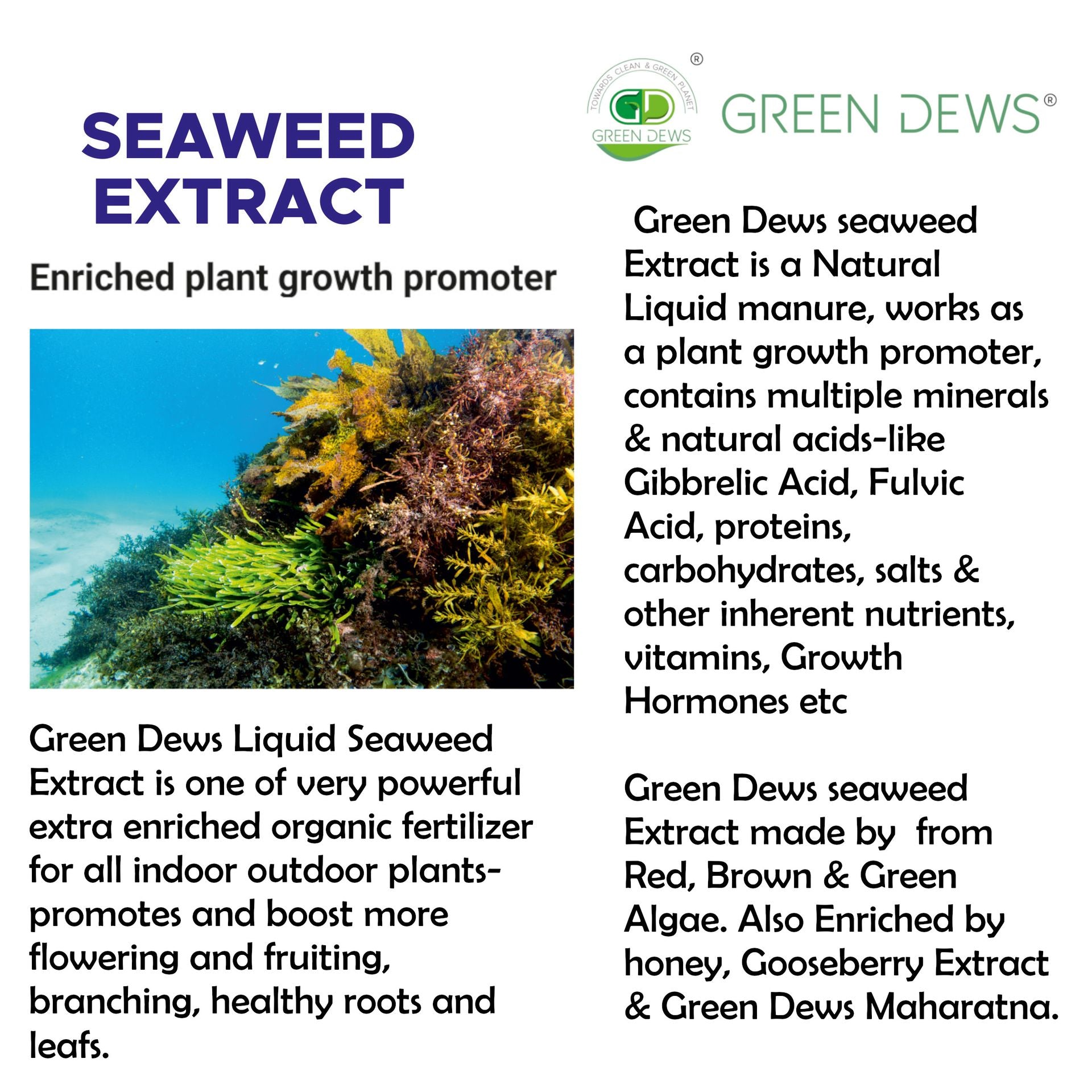 Green Dews Liquid Seaweed Extract Fertilizer for All Indoor-Outdoor Plants Plant Growth Stimulant Soil conditioner - hfnl!fe