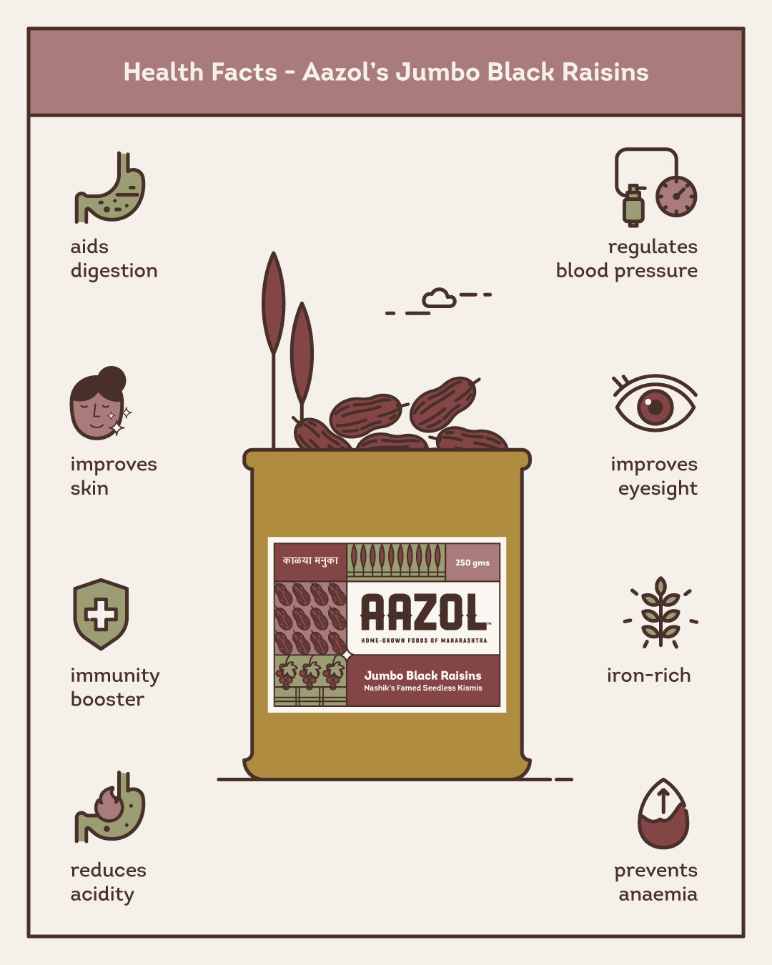 Aazol Jumbo Black Raisins: Nashik's Famed Seedless Kismis - 250gms (Pack of 2) - hfnl!fe